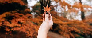 Preview wallpaper maple, leaf, autumn, hand