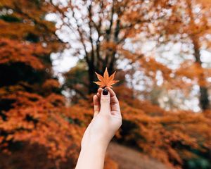 Preview wallpaper maple, leaf, autumn, hand