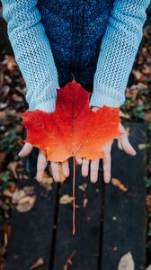 Preview wallpaper maple, leaf, autumn, hands, sweater