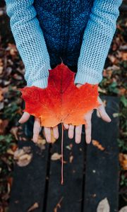 Preview wallpaper maple, leaf, autumn, hands, sweater