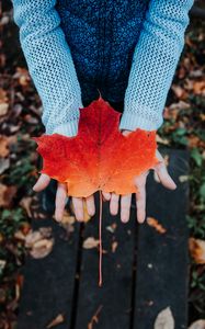 Preview wallpaper maple, leaf, autumn, hands, sweater