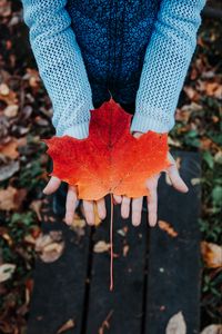 Preview wallpaper maple, leaf, autumn, hands, sweater