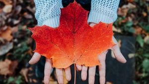 Preview wallpaper maple, leaf, autumn, hands, sweater