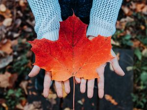 Preview wallpaper maple, leaf, autumn, hands, sweater