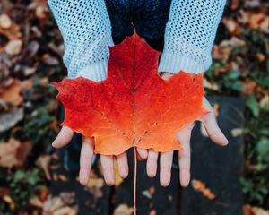 Preview wallpaper maple, leaf, autumn, hands, sweater