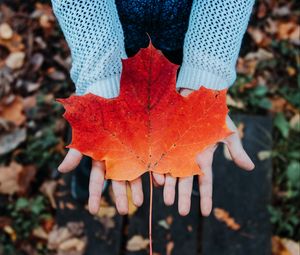 Preview wallpaper maple, leaf, autumn, hands, sweater