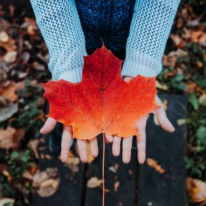 Preview wallpaper maple, leaf, autumn, hands, sweater