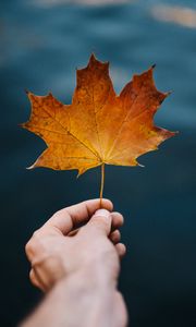 Preview wallpaper maple, leaf, hand, autumn, blur