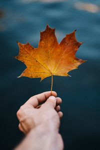 Preview wallpaper maple, leaf, hand, autumn, blur