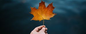 Preview wallpaper maple, leaf, hand, autumn, blur