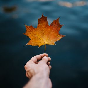 Preview wallpaper maple, leaf, hand, autumn, blur