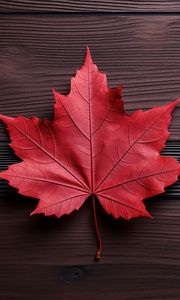 Preview wallpaper maple leaf, leaf, maple, autumn, macro, wood