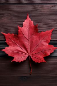 Preview wallpaper maple leaf, leaf, maple, autumn, macro, wood