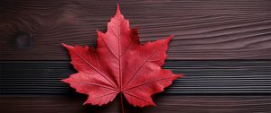 Preview wallpaper maple leaf, leaf, maple, autumn, macro, wood