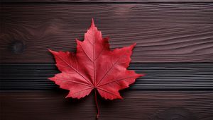 Preview wallpaper maple leaf, leaf, maple, autumn, macro, wood