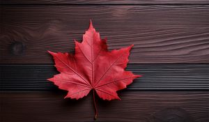 Preview wallpaper maple leaf, leaf, maple, autumn, macro, wood