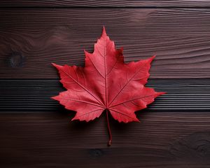 Preview wallpaper maple leaf, leaf, maple, autumn, macro, wood