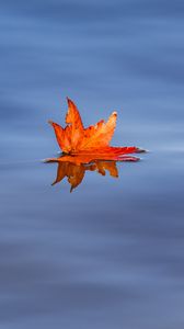 Preview wallpaper maple leaf, leaf, maple, water, autumn, minimalism