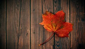Preview wallpaper maple leaf, leaf, maple, wood