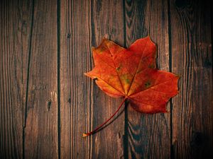 Preview wallpaper maple leaf, leaf, maple, wood