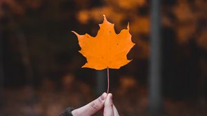 Preview wallpaper maple, leaf, macro, autumn, hand