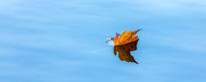 Preview wallpaper maple, leaf, water, autumn