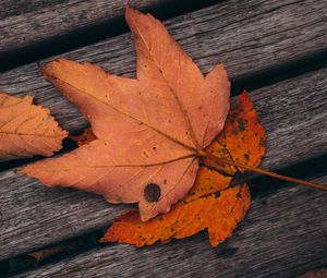 Preview wallpaper maple, leaves, autumn, boards, wooden