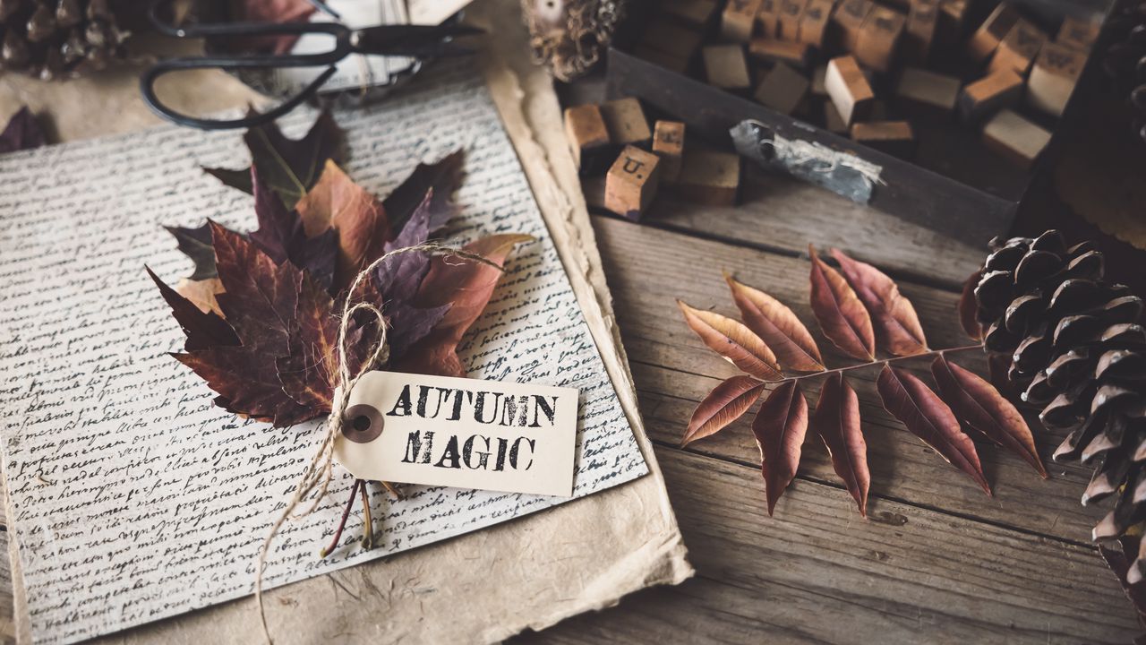 Wallpaper maple leaves, autumn, inscription, paper, text, aesthetics