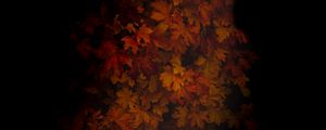 Preview wallpaper maple, leaves, dark, tree, autumn, shadow