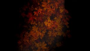 Preview wallpaper maple, leaves, dark, tree, autumn, shadow