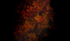 Preview wallpaper maple, leaves, dark, tree, autumn, shadow