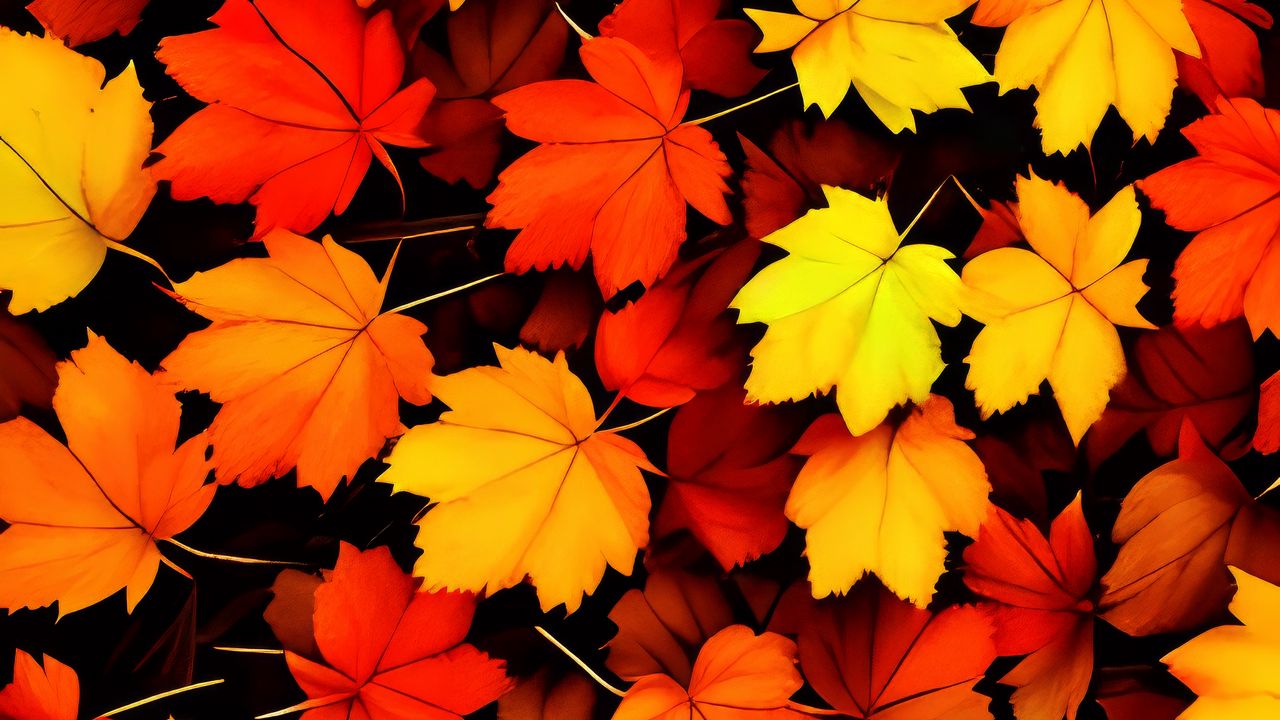 Wallpaper maple leaves, leaves, autumn, background, orange