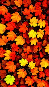 Preview wallpaper maple leaves, leaves, autumn, background, orange