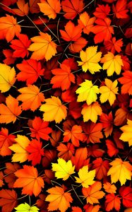 Preview wallpaper maple leaves, leaves, autumn, background, orange
