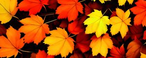 Preview wallpaper maple leaves, leaves, autumn, background, orange