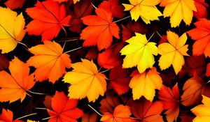 Preview wallpaper maple leaves, leaves, autumn, background, orange