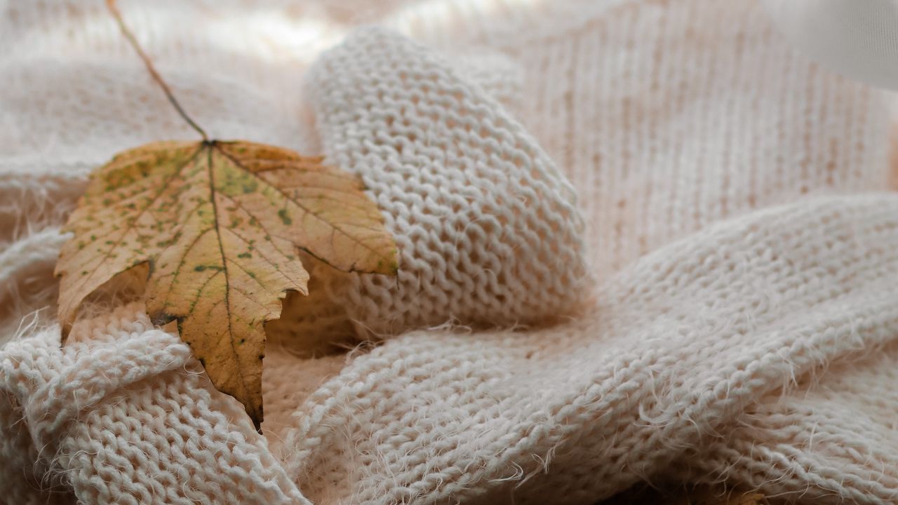 Wallpaper maple, sweater, autumn, leaf