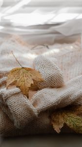 Preview wallpaper maple, sweater, autumn, leaf