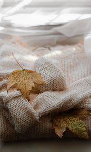 Preview wallpaper maple, sweater, autumn, leaf