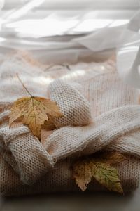 Preview wallpaper maple, sweater, autumn, leaf