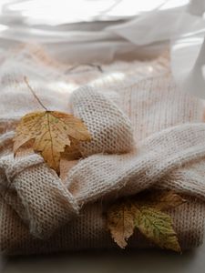 Preview wallpaper maple, sweater, autumn, leaf