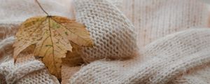 Preview wallpaper maple, sweater, autumn, leaf