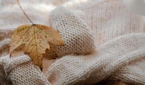 Preview wallpaper maple, sweater, autumn, leaf