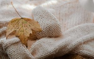 Preview wallpaper maple, sweater, autumn, leaf