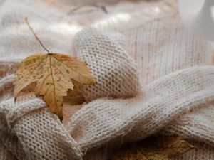 Preview wallpaper maple, sweater, autumn, leaf