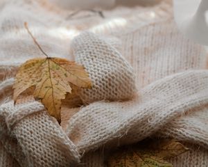 Preview wallpaper maple, sweater, autumn, leaf