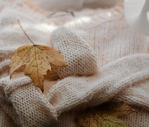 Preview wallpaper maple, sweater, autumn, leaf