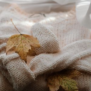 Preview wallpaper maple, sweater, autumn, leaf
