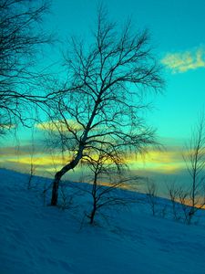 Preview wallpaper march, winter, snow, frost, nature, cold, evening, february, sky, blue