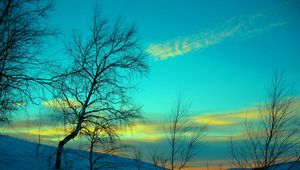 Preview wallpaper march, winter, snow, frost, nature, cold, evening, february, sky, blue